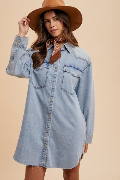 Denise Denim Shirt Dress