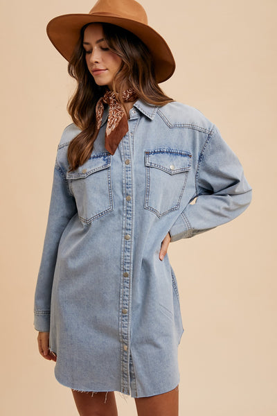 Denise Denim Shirt Dress