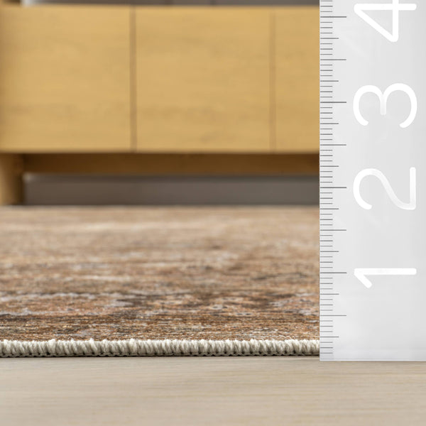 Bayberry Spill Proof Vintage Machine Washable Area Rug: Brown / 3' x 5'