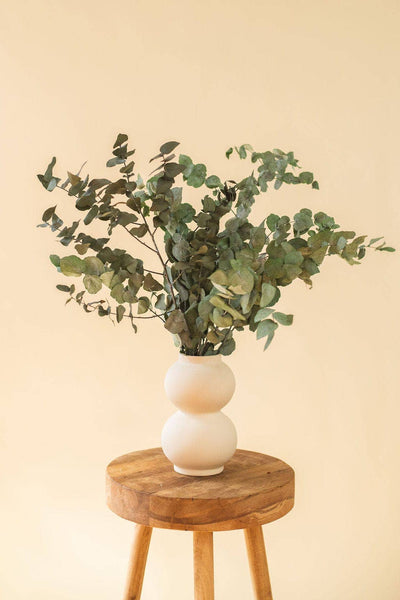 Preserved Green Eucalyptus