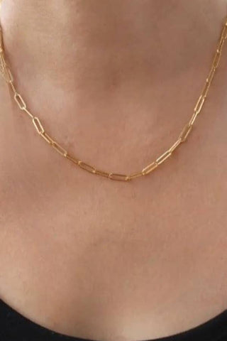 Paper Clip Necklace