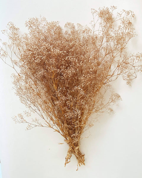 Preserved Tan Baby's Breath