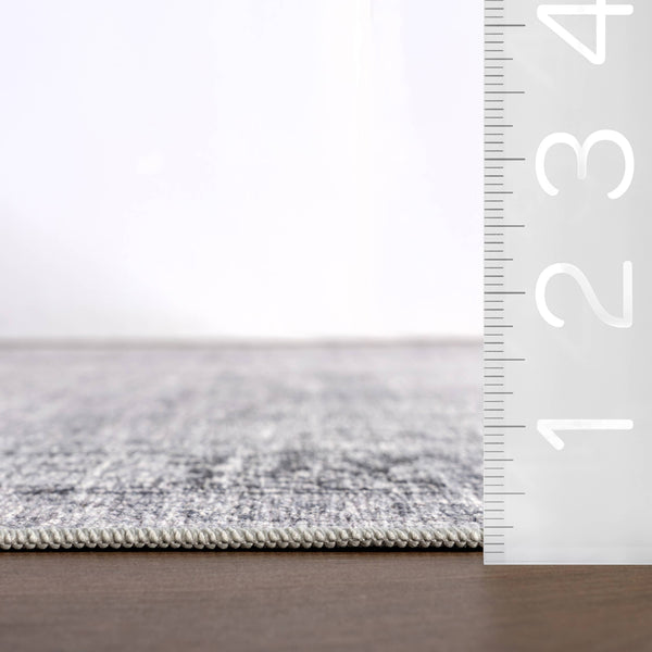 Bayberry Spill Proof Vintage Machine Washable Area Rug: Brown / 3' x 5'