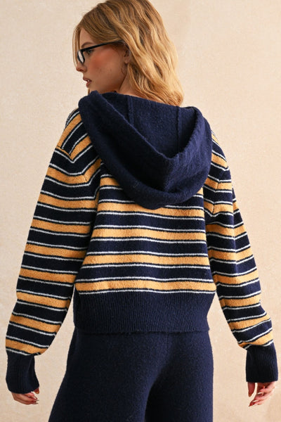 Lori Striped Sweater Hoodie