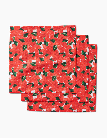 Winter Flora Dishcloth Set