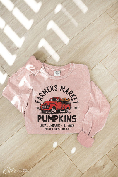 FARMERS MARKET Pink Long Sleeve Top