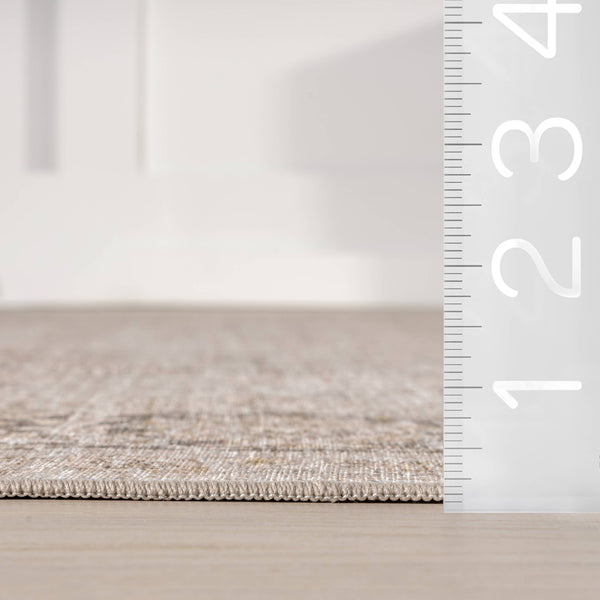 Bayberry Spill Proof Vintage Machine Washable Area Rug: Brown / 3' x 5'